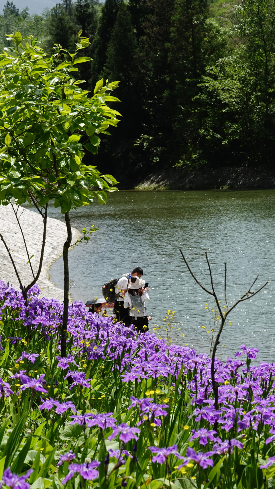 微信图片_20250506180013