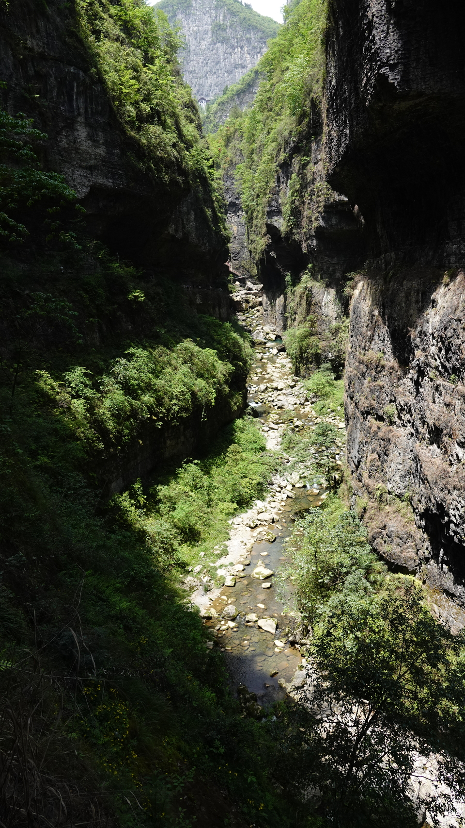 微信图片_20250506180045