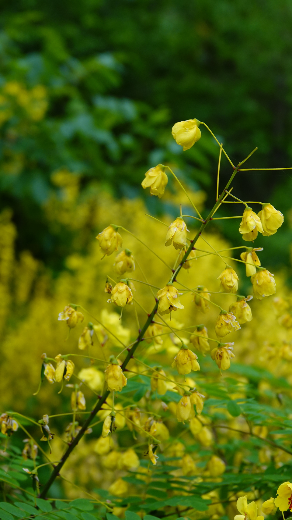 微信图片_20250506180128