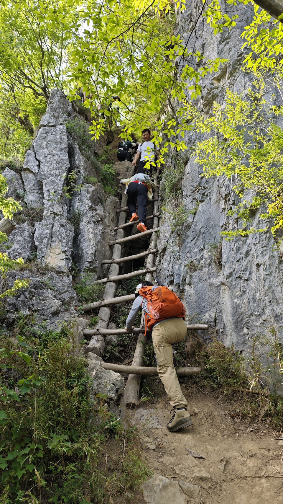 微信图片_20250506180407