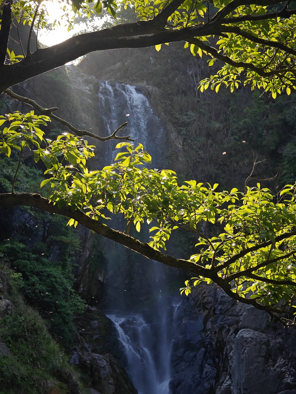 微信图片_20250506172107