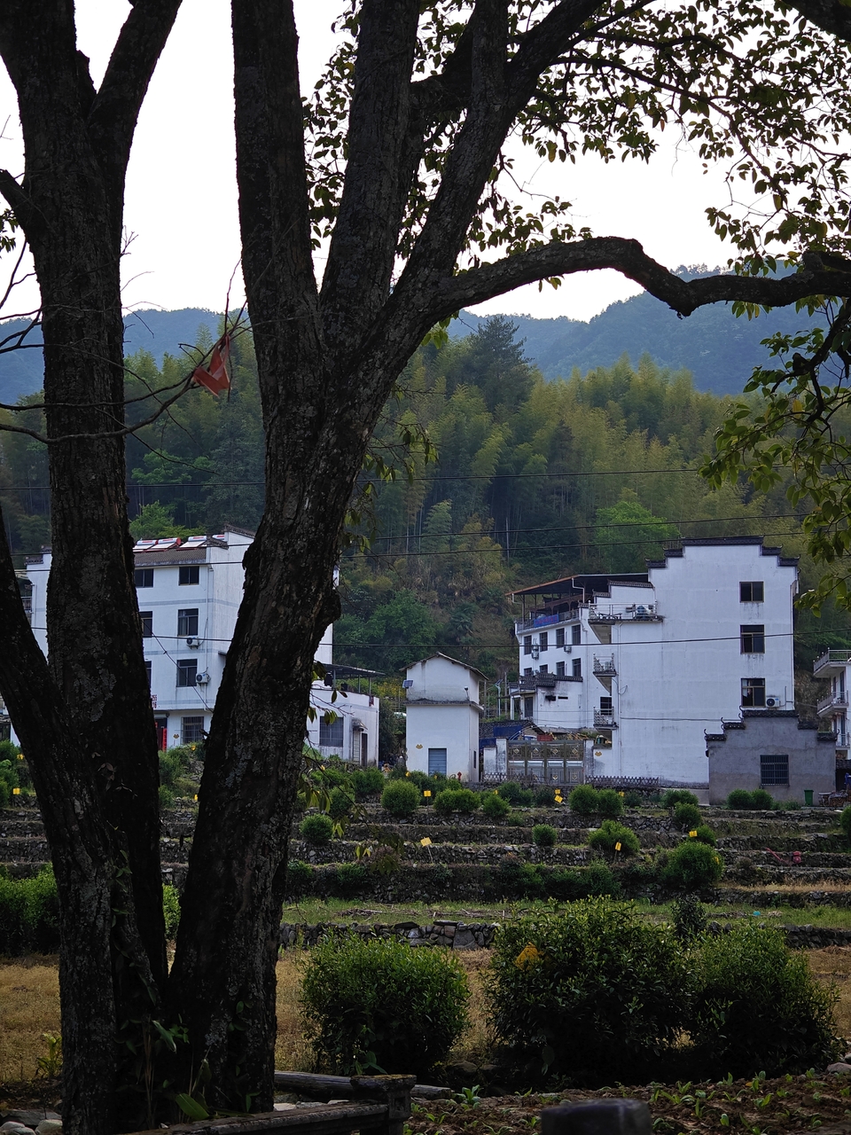 微信图片_20250506172114