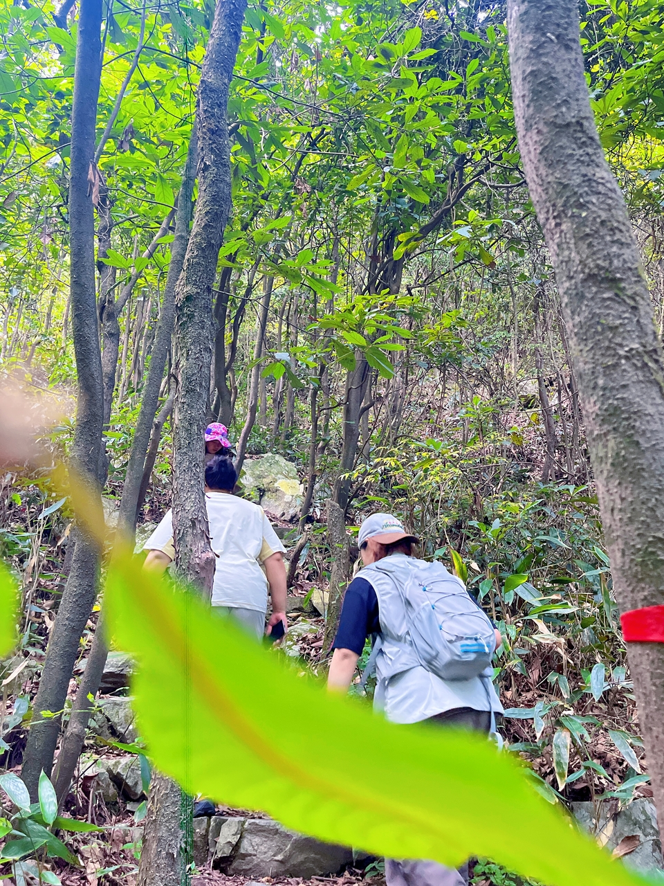 微信图片_20250506172129