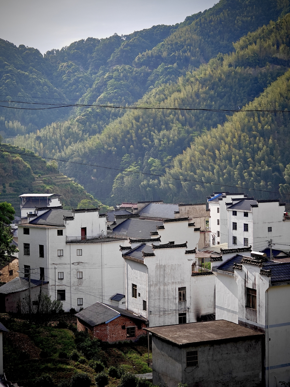 微信图片_20250506172149