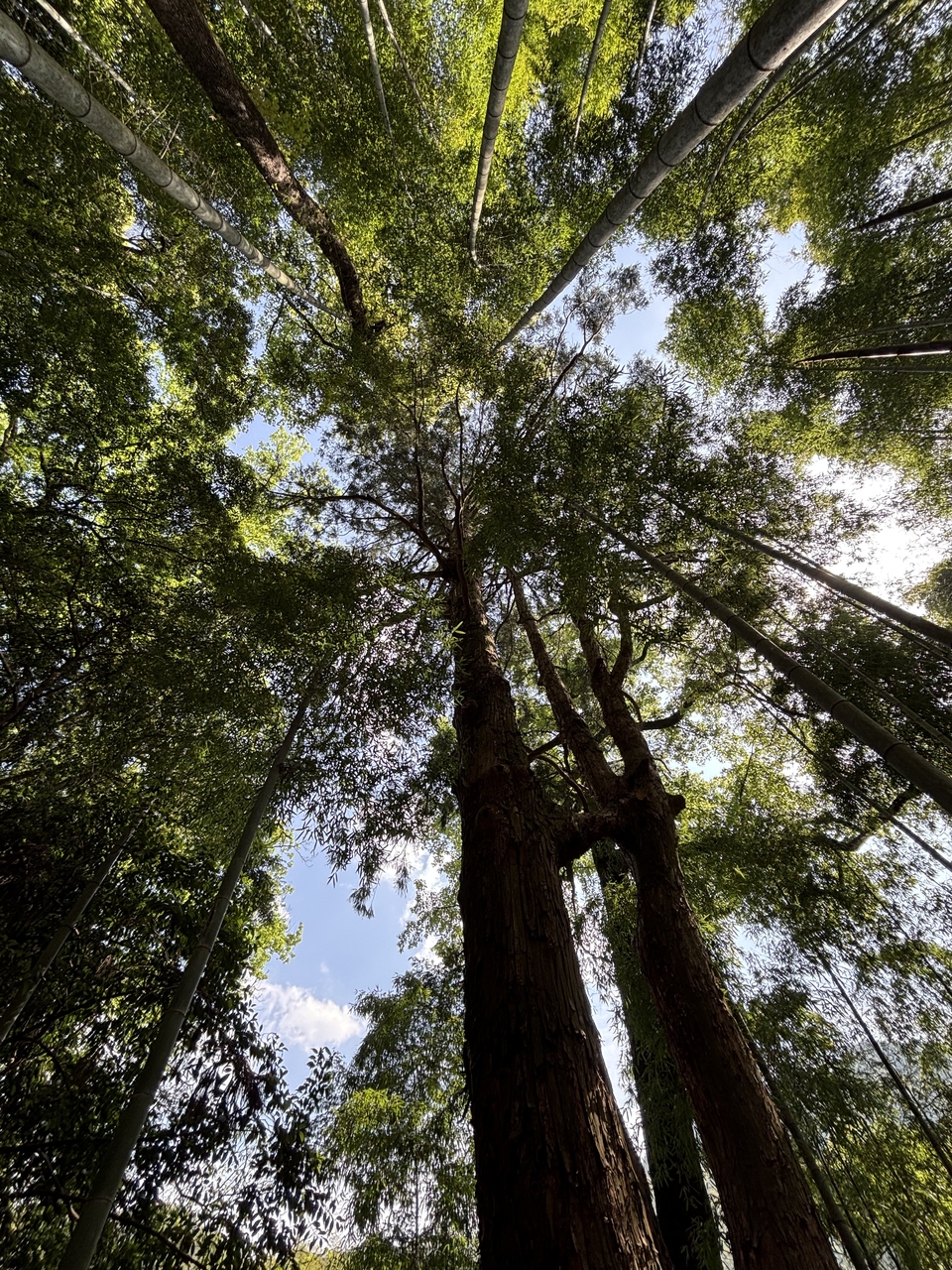 微信图片_20250506172152