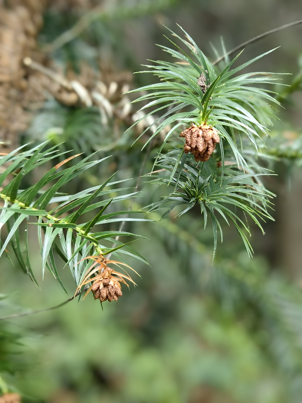 微信图片_20250506172214