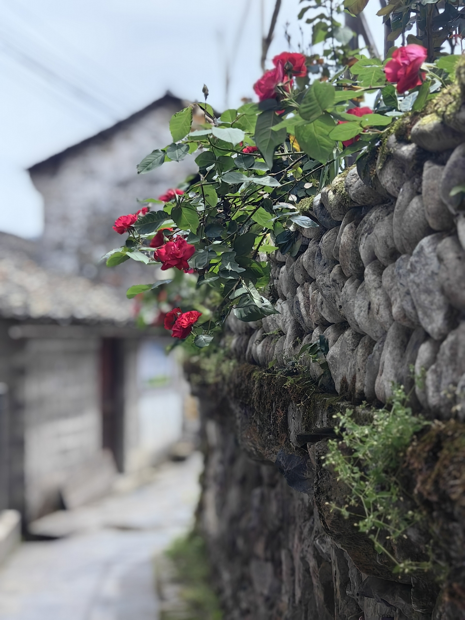 微信图片_20250506172215