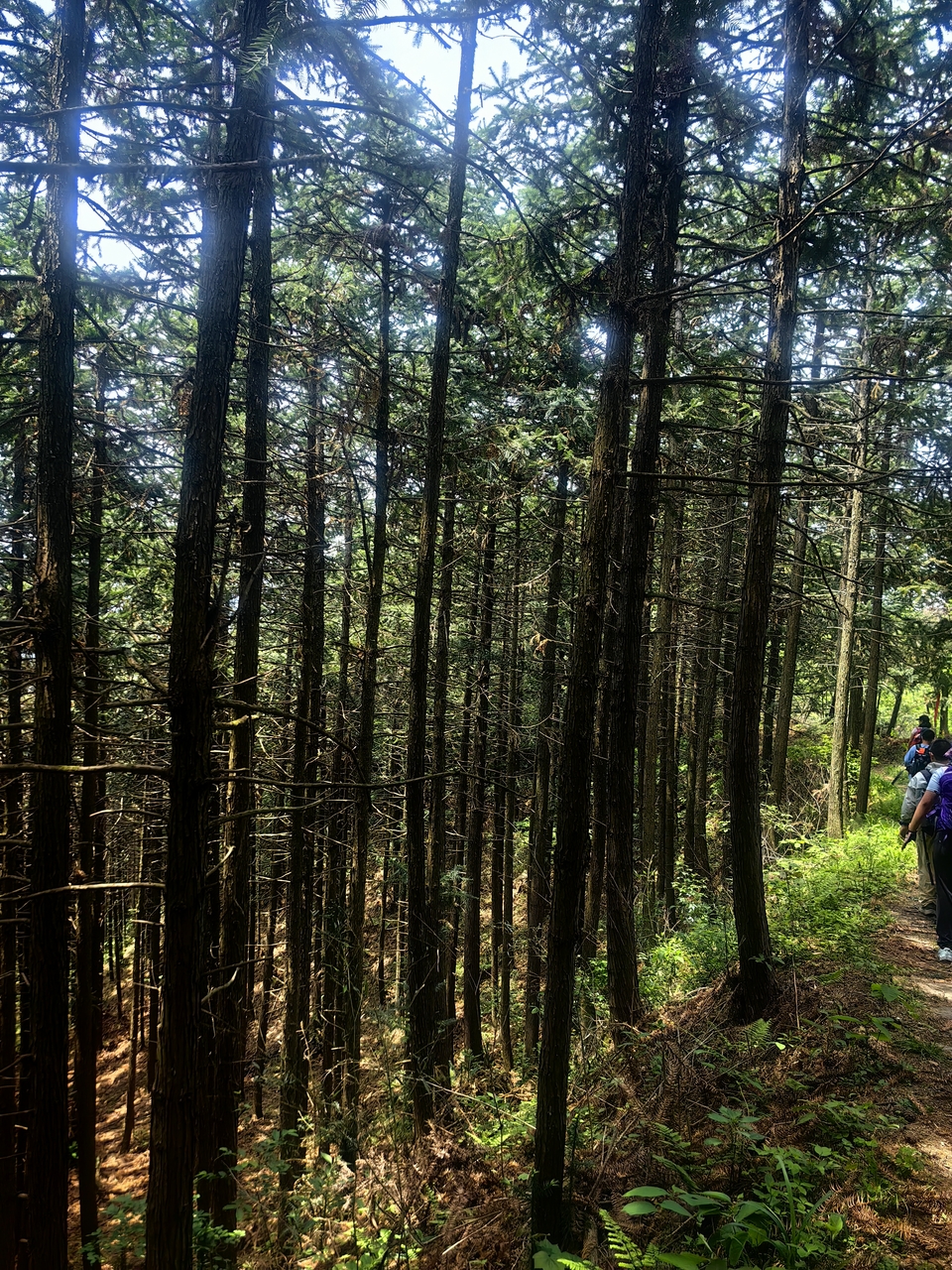 微信图片_20250506172333