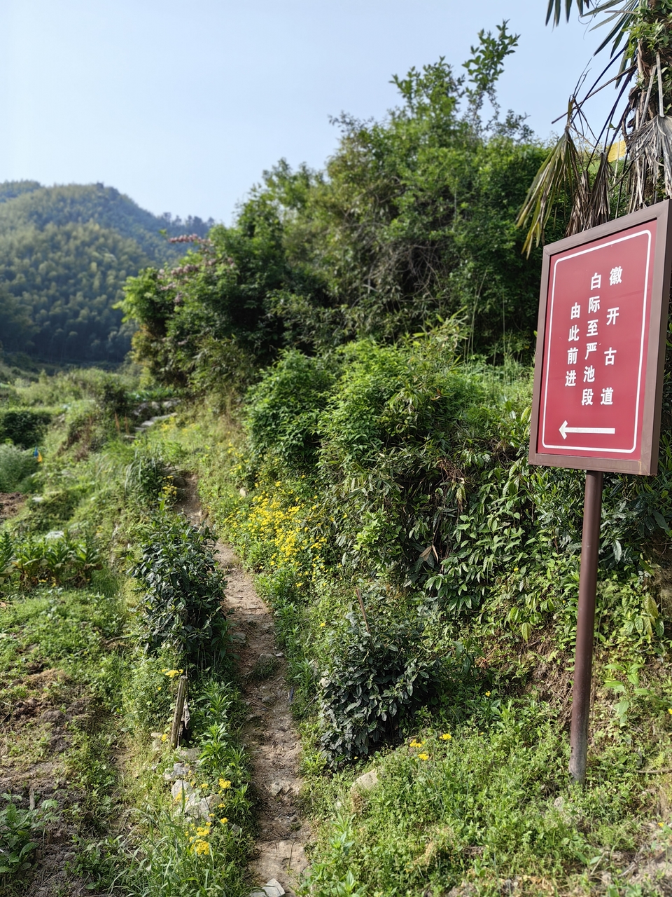 微信图片_20250506172359