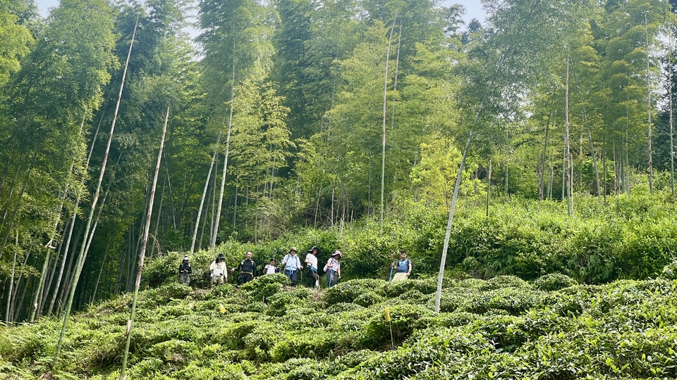 微信图片_20250506172419