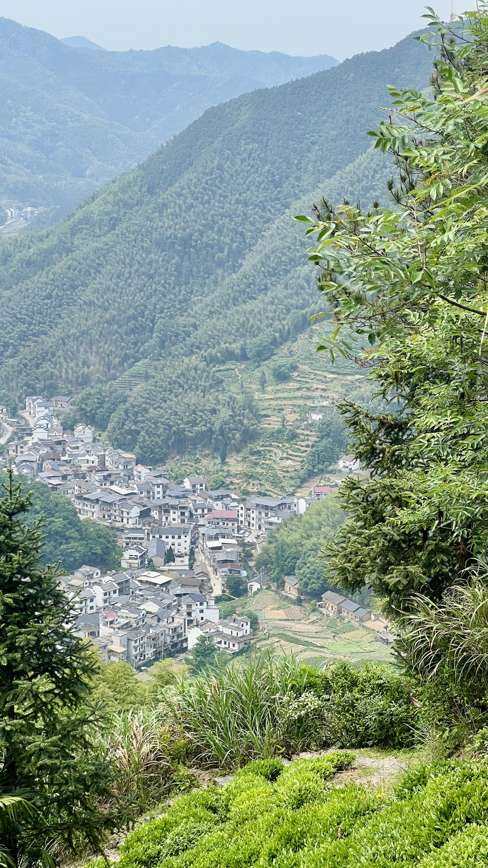 微信图片_20250506172423