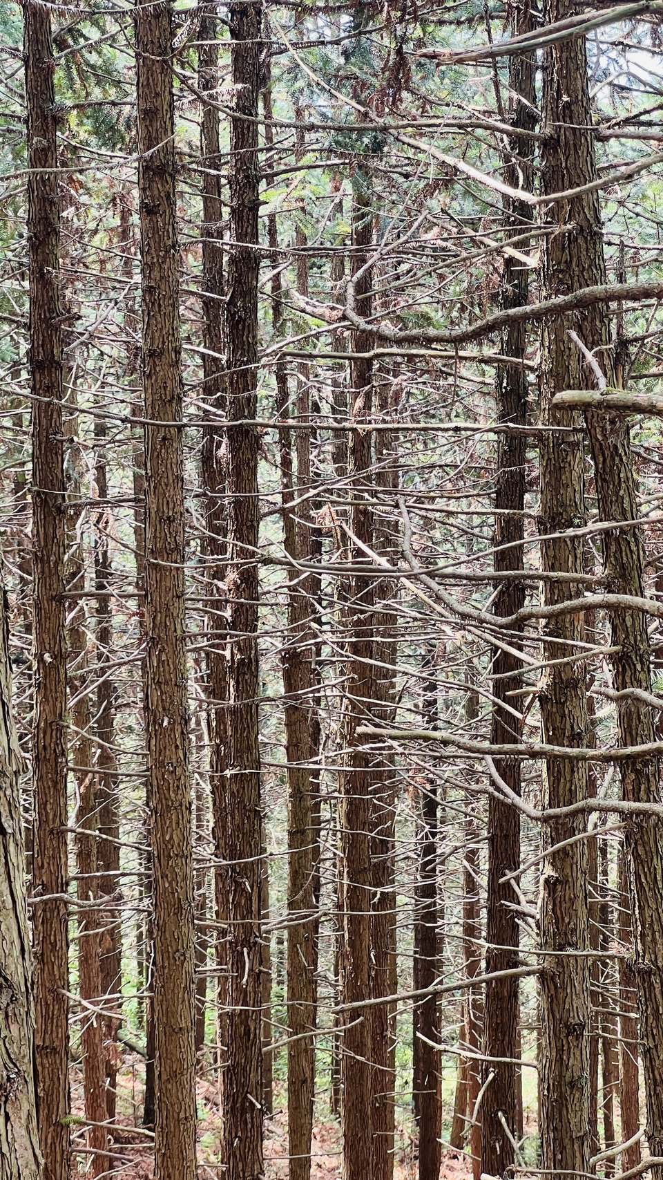 微信图片_20250506172424