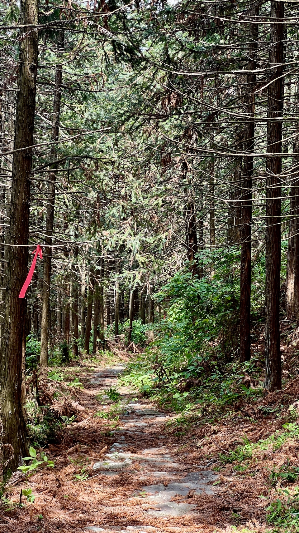 微信图片_20250506172429