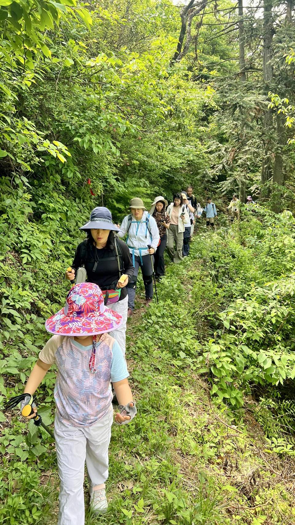 微信图片_20250506172442