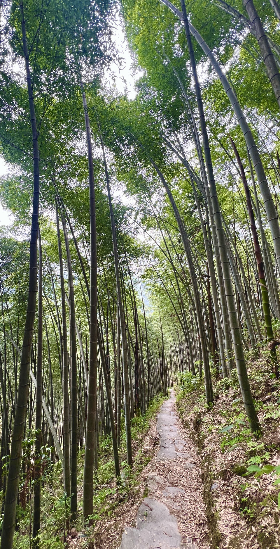 微信图片_20250506172457