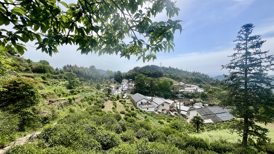 微信图片_20250506172459