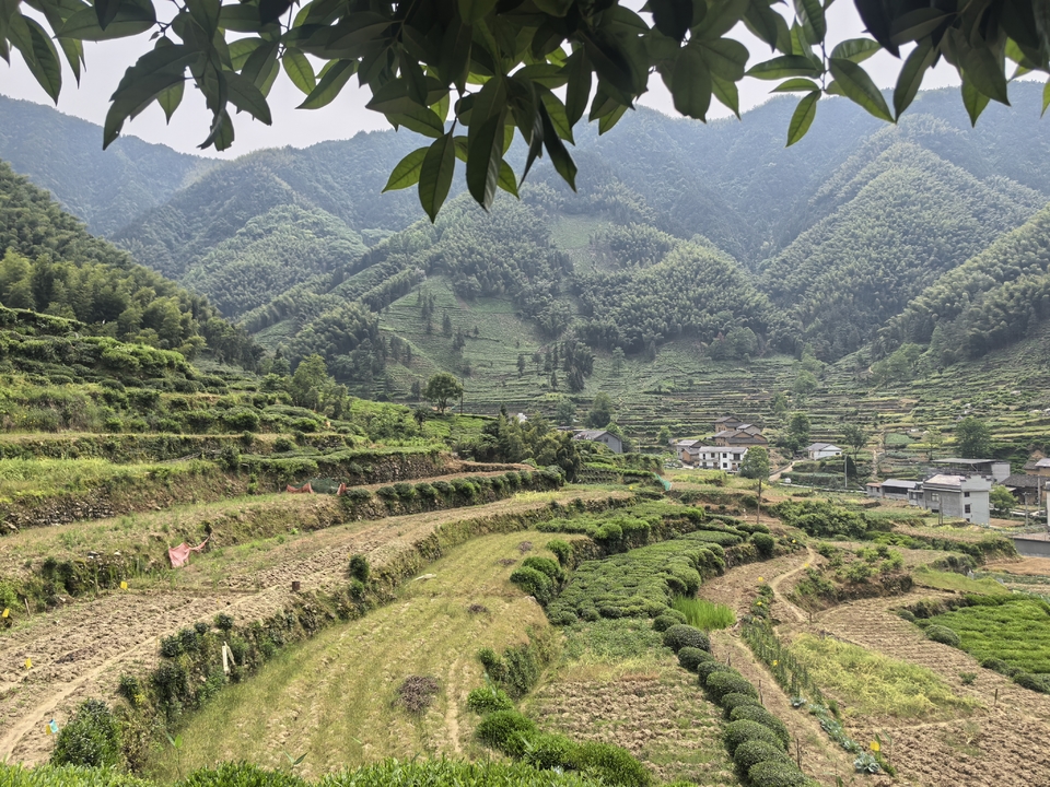 微信图片_20250506172500