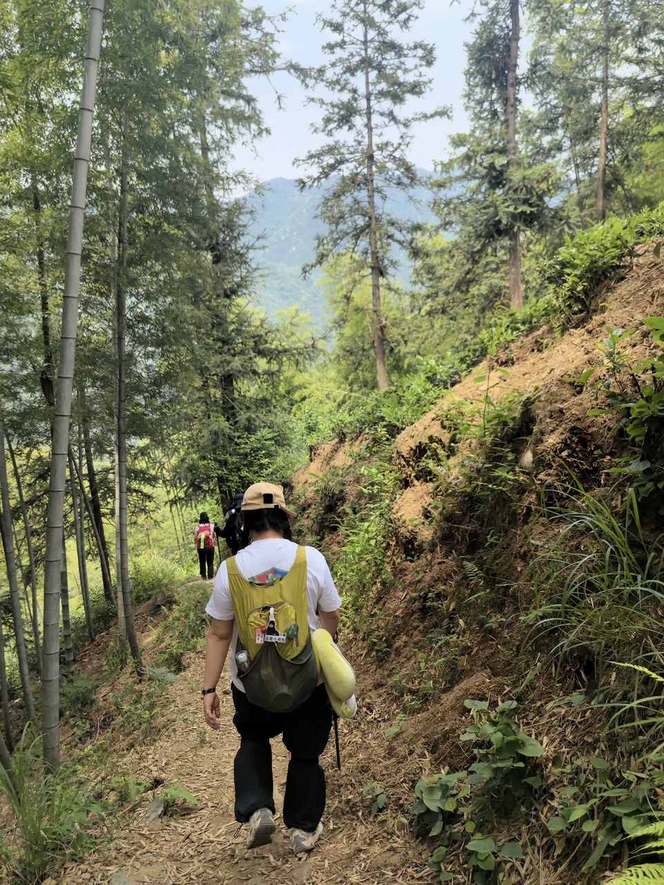 微信图片_20250506172502