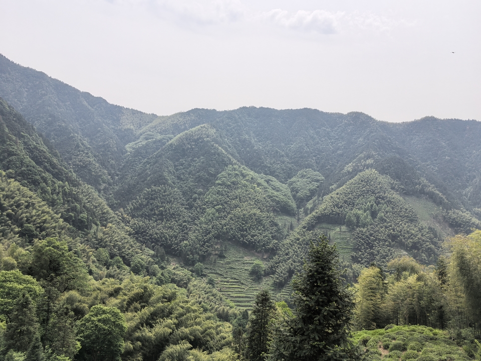 微信图片_20250506172506