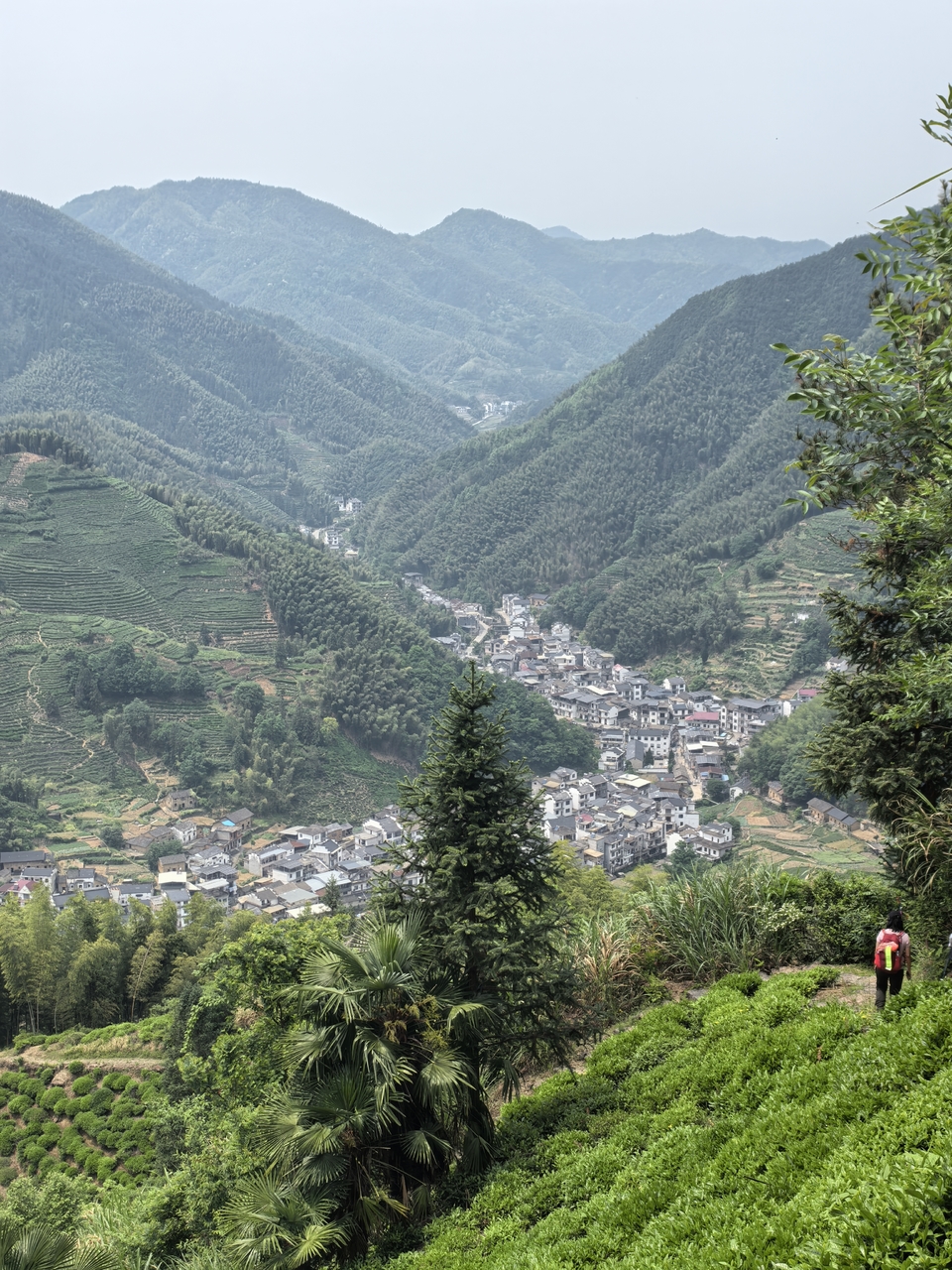 微信图片_20250506172509