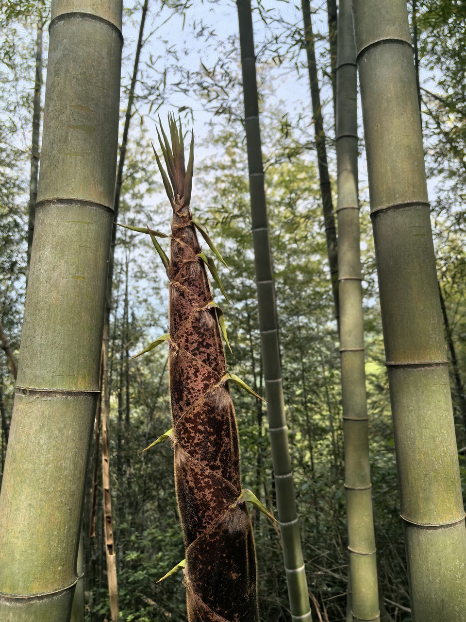 微信图片_20250506172512