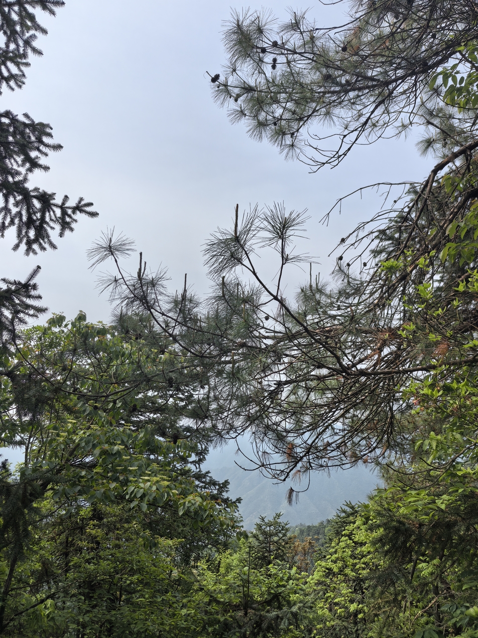 微信图片_20250506172513