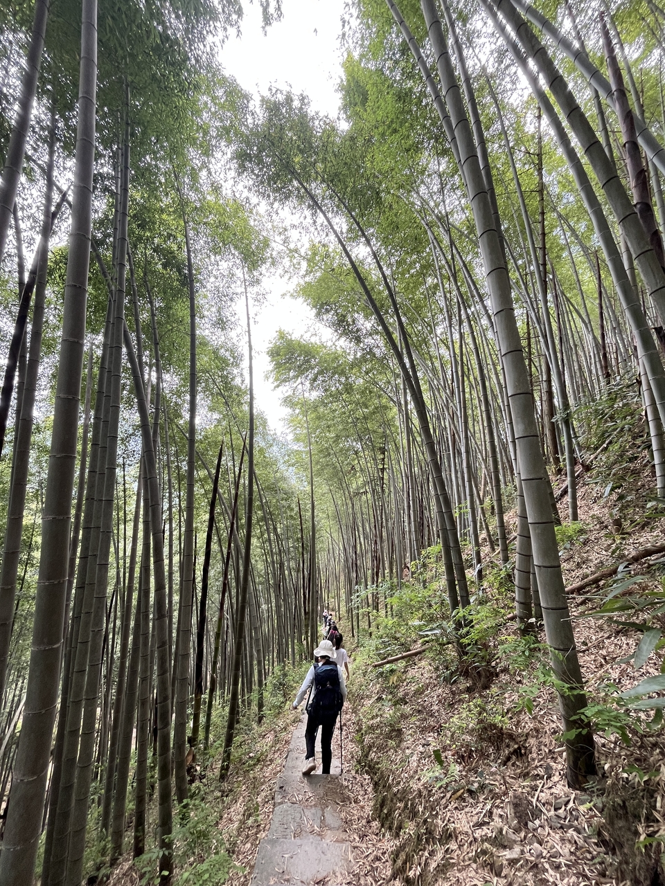 微信图片_20250506172517