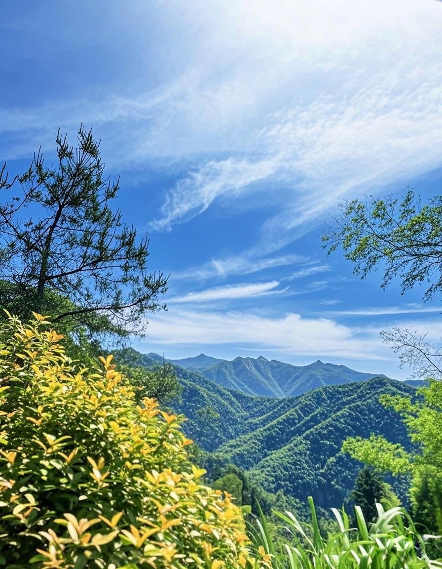 微信图片_20250506173114