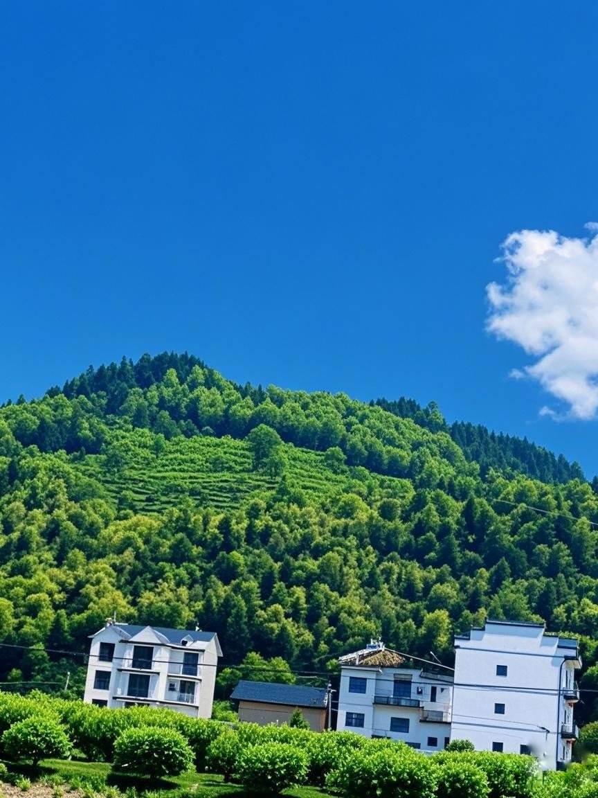 微信图片_20250506173141