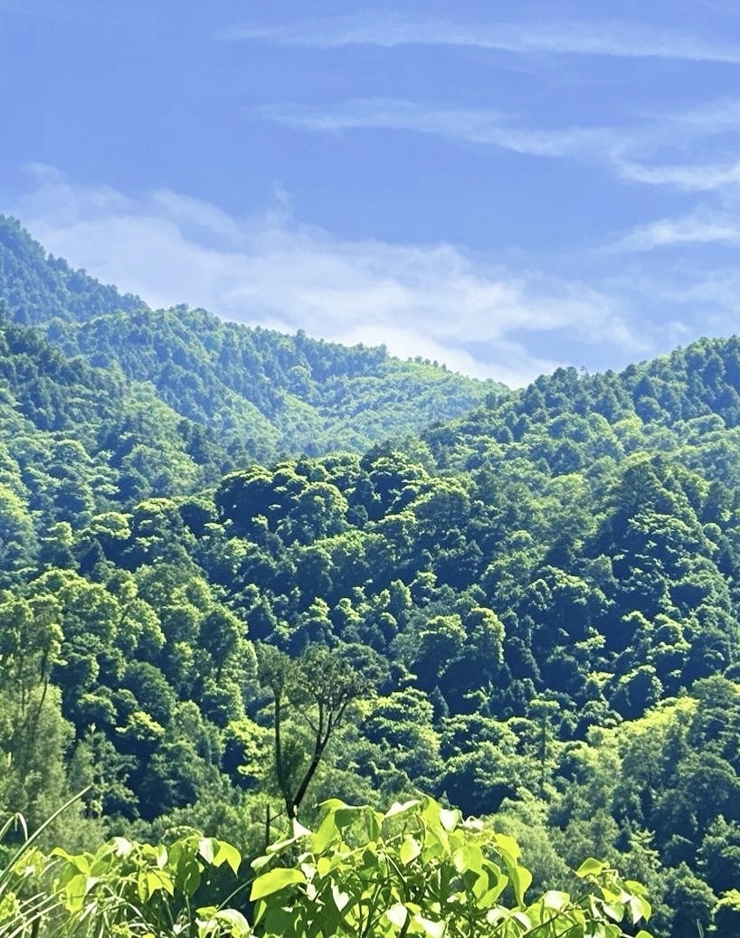 微信图片_20250506173142