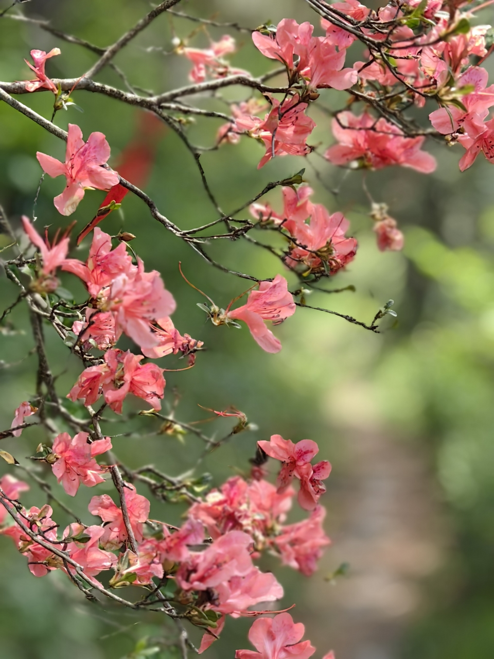 微信图片_202505061723421