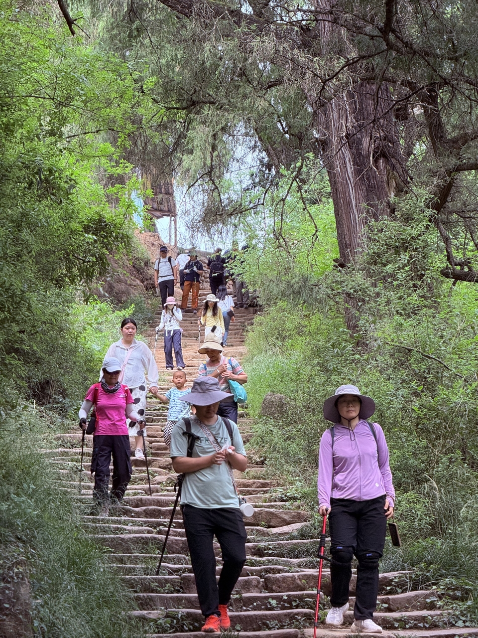 微信图片_20250503124333