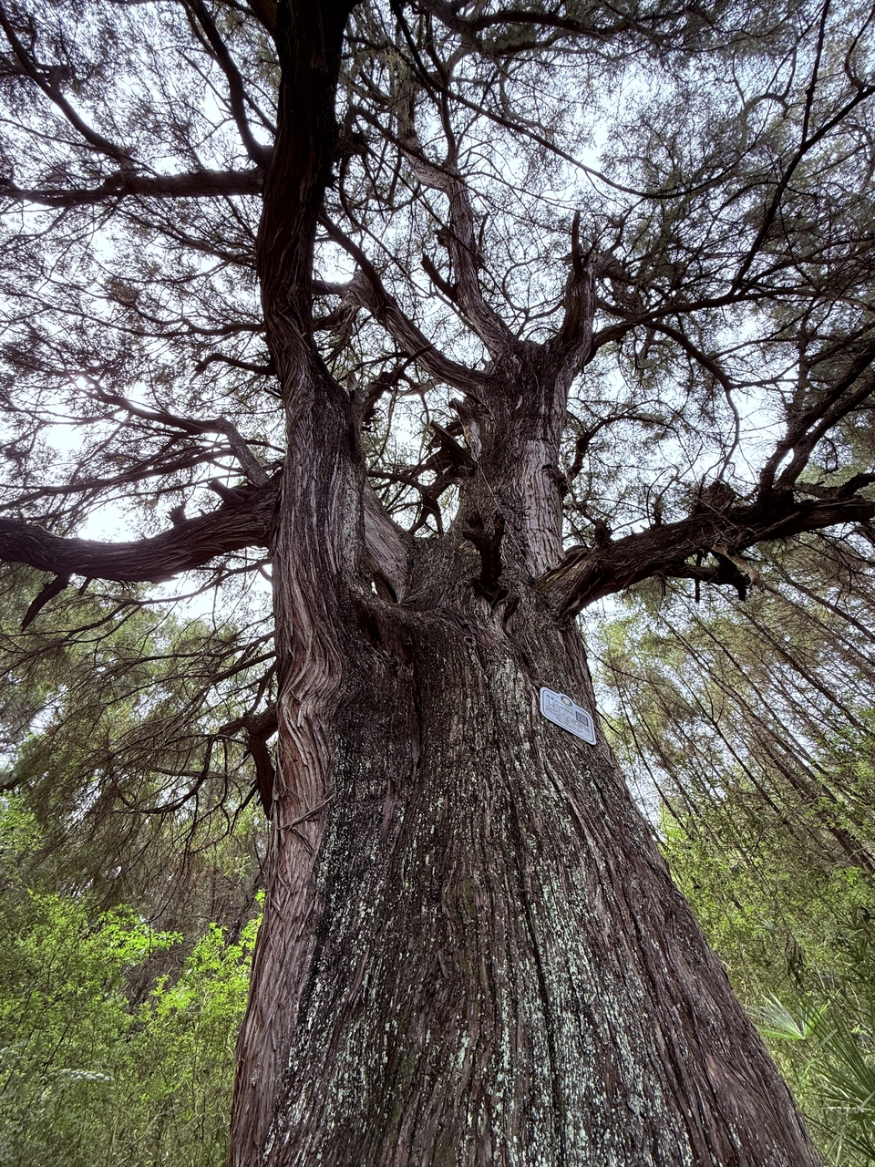 微信图片_20250503124415