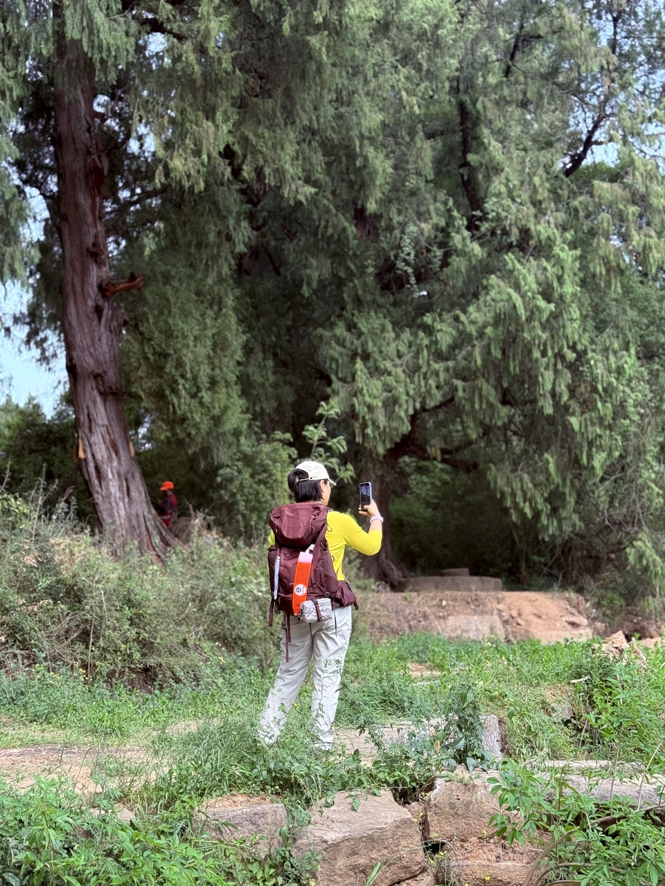 微信图片_20250503124454