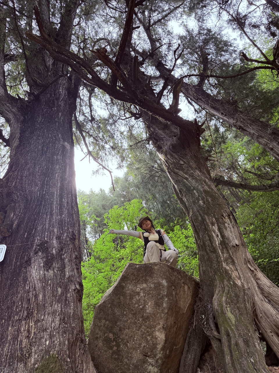 微信图片_20250503124545