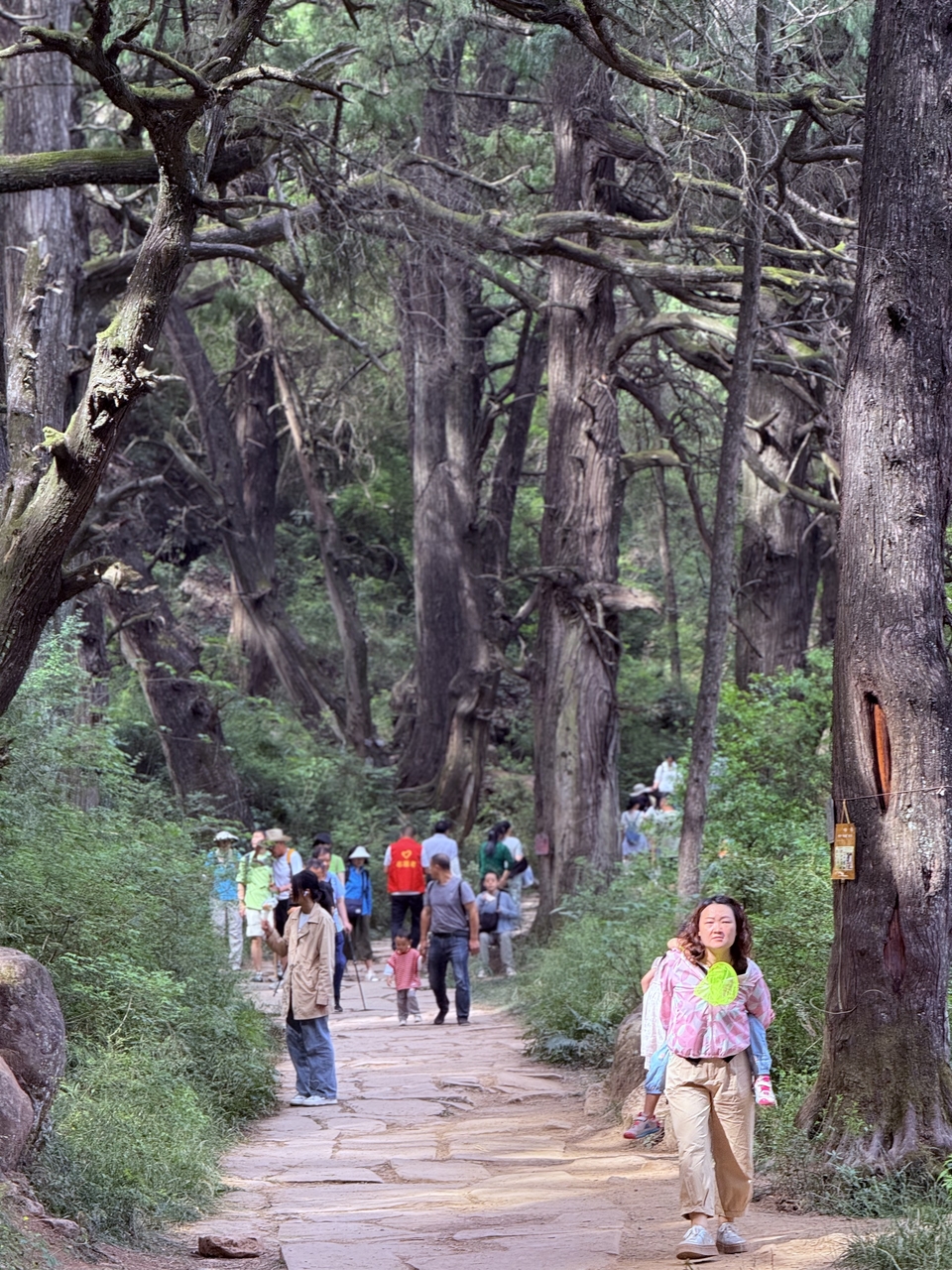 微信图片_20250503124603