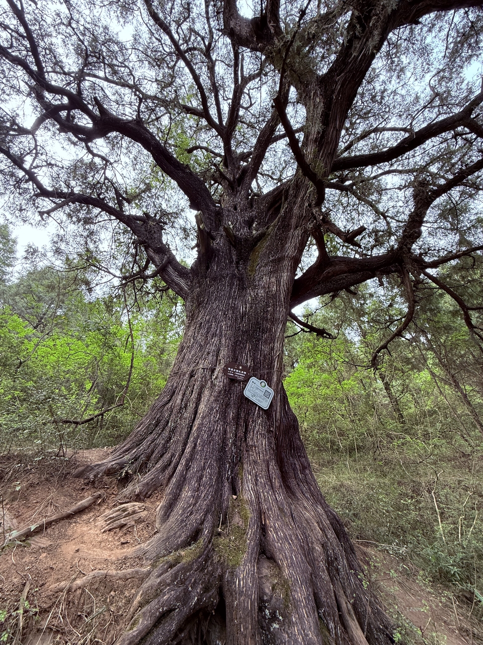 微信图片_20250503124841