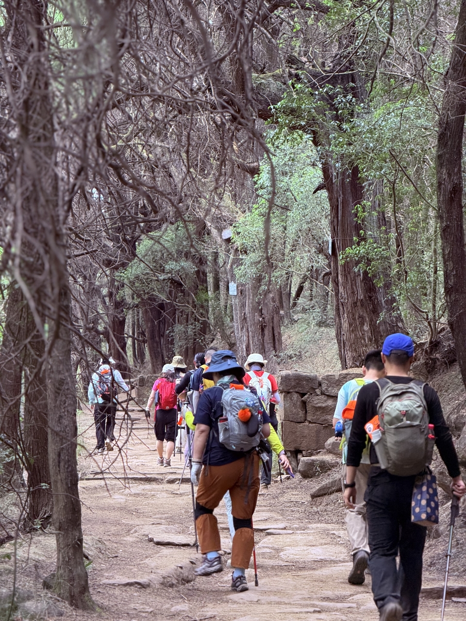 微信图片_20250503194247