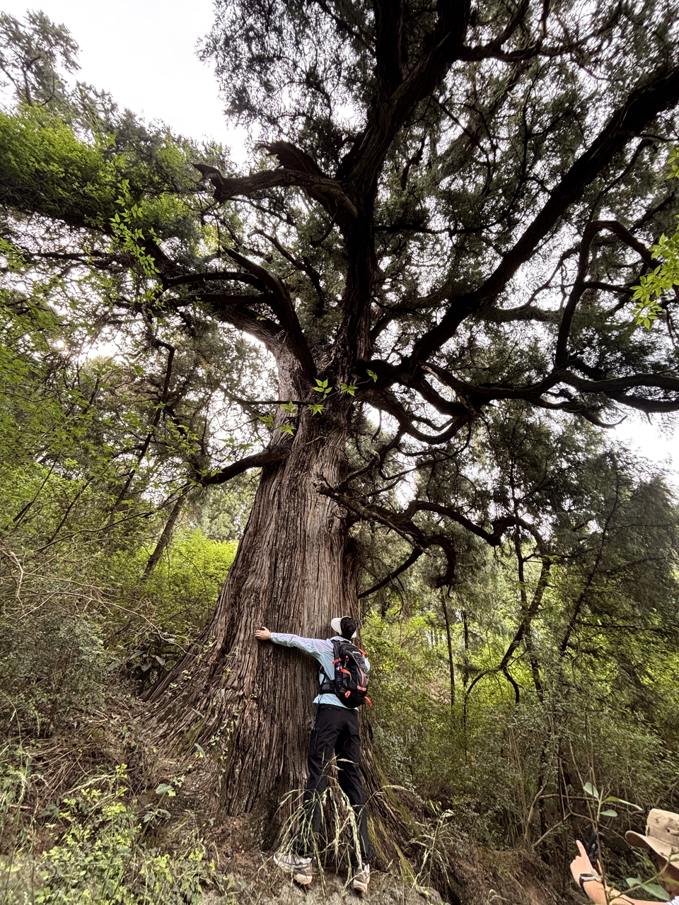 微信图片_20250503200037