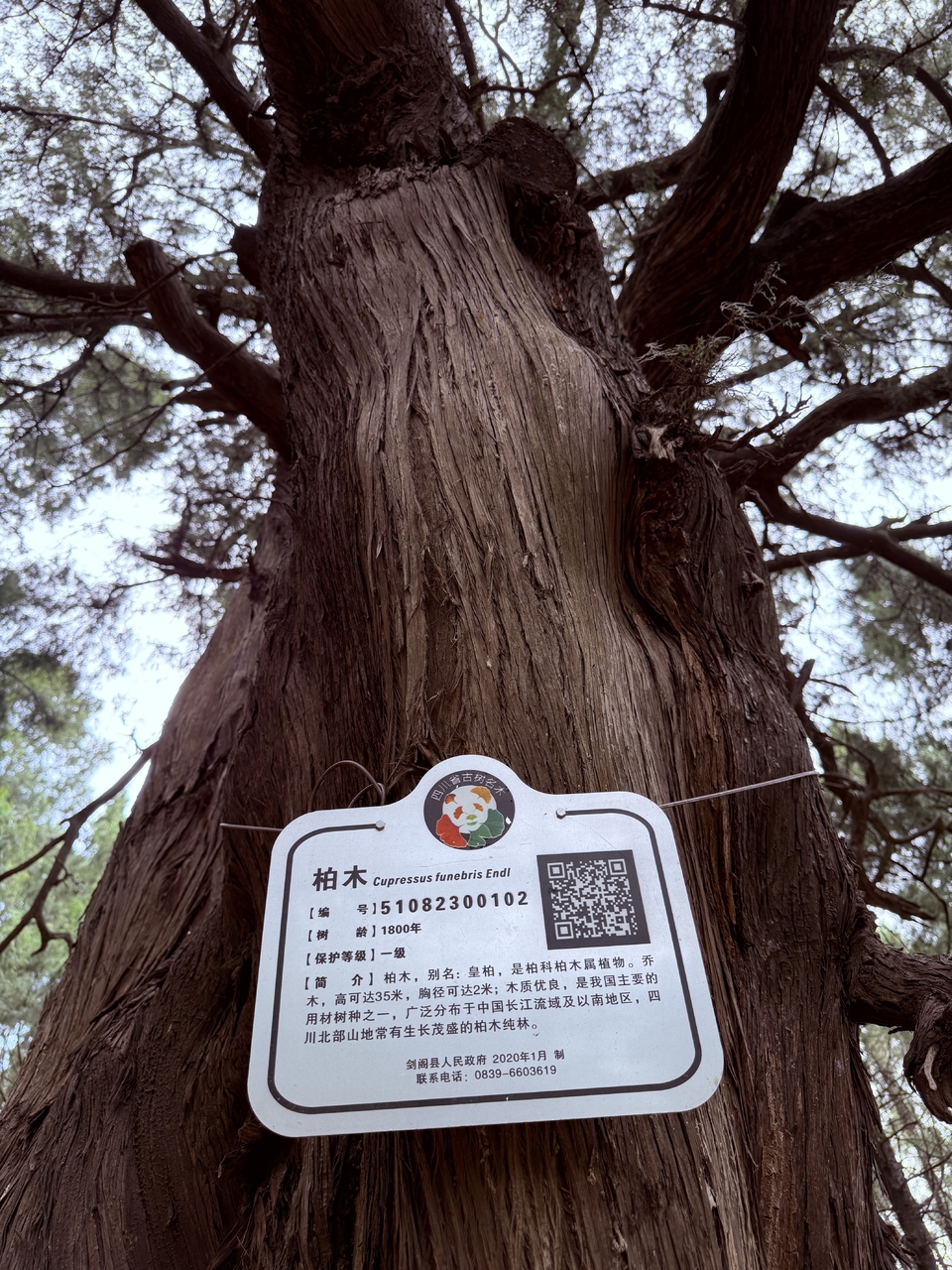 微信图片_20250503200322