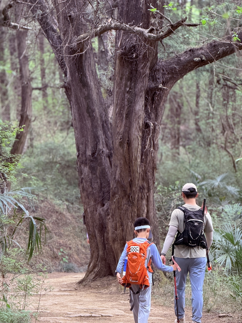 微信图片_20250503200542