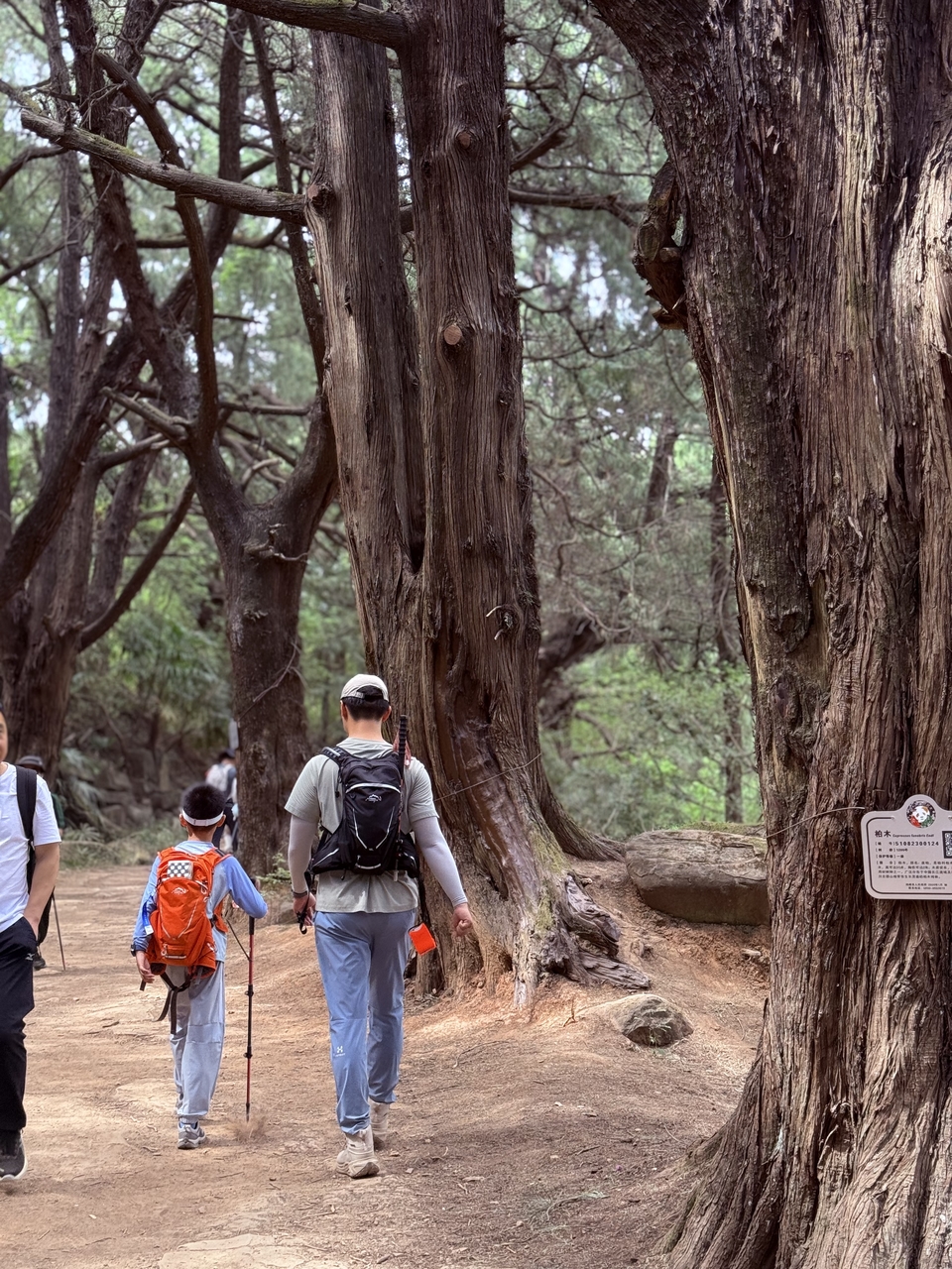 微信图片_20250503200628