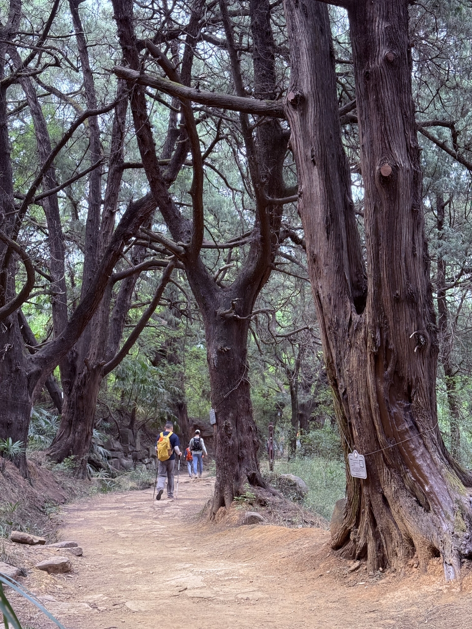 微信图片_20250503200709