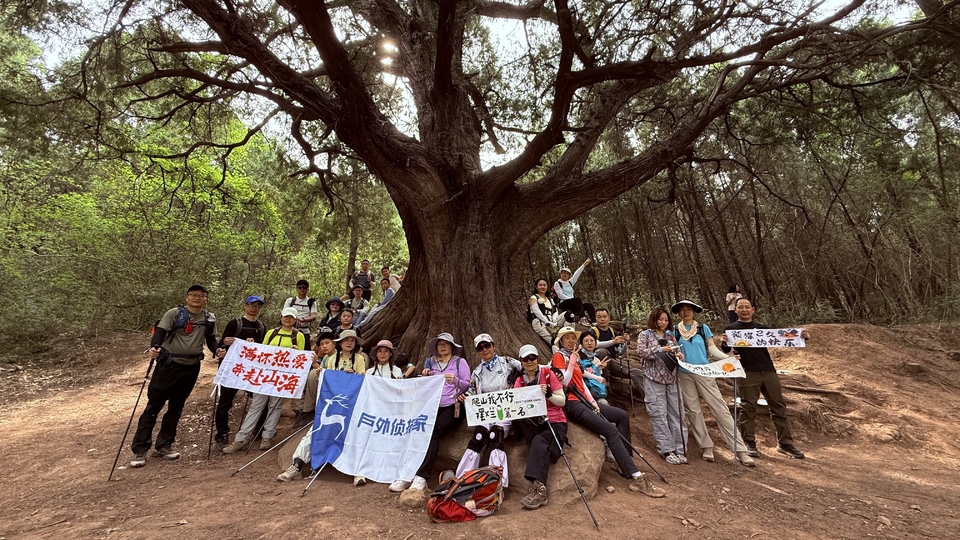 微信图片_20250503200717