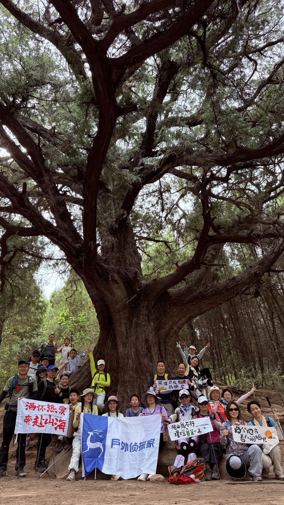 微信图片_20250503200731