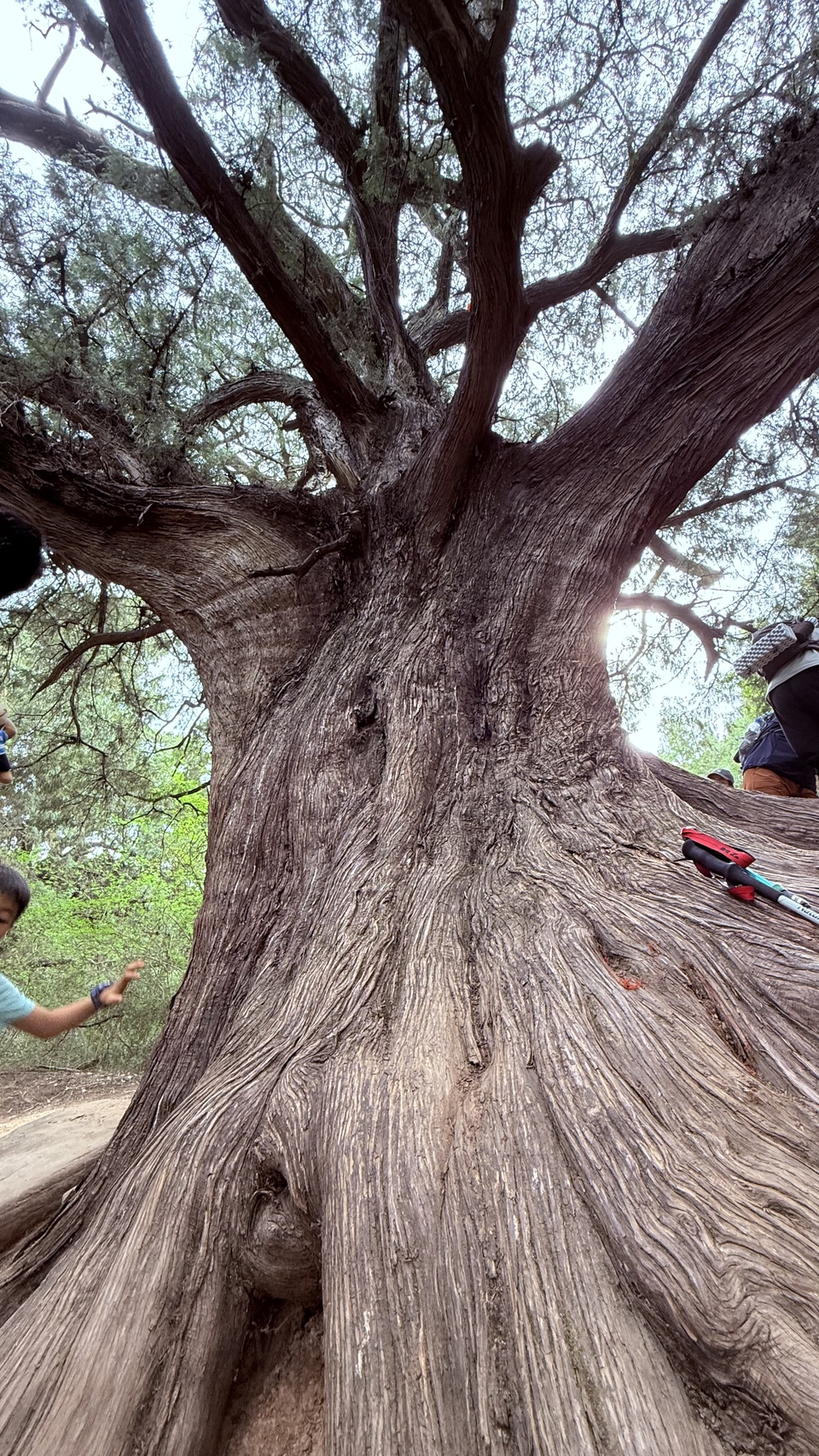 微信图片_20250503200738