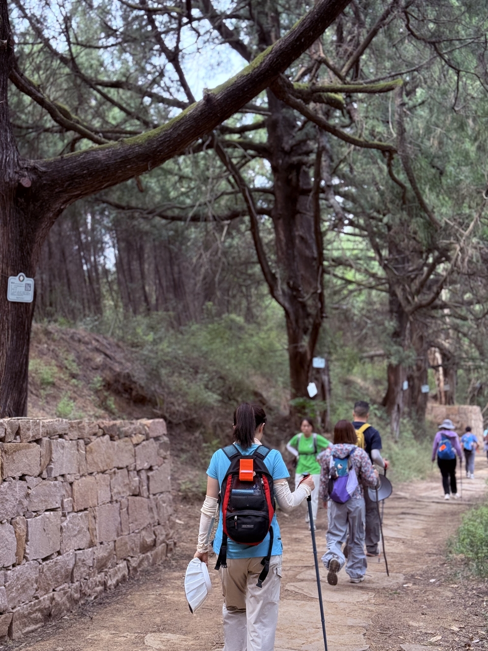 微信图片_20250503200753