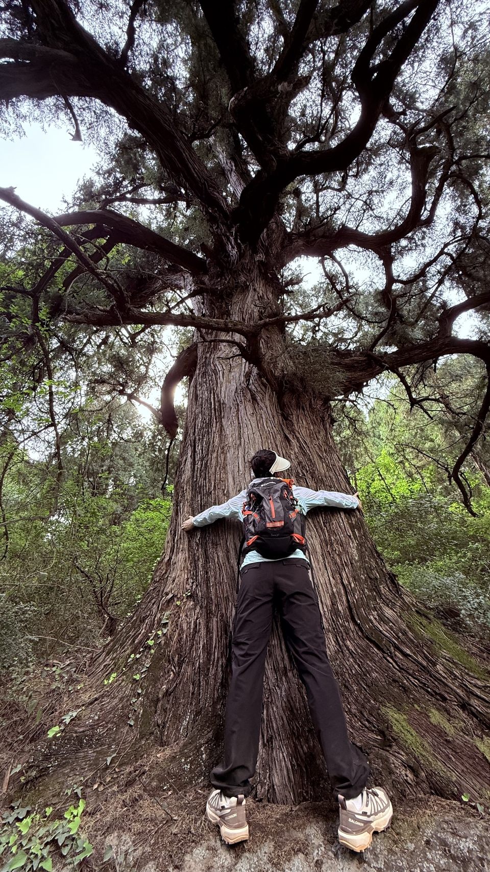 微信图片_20250503200813