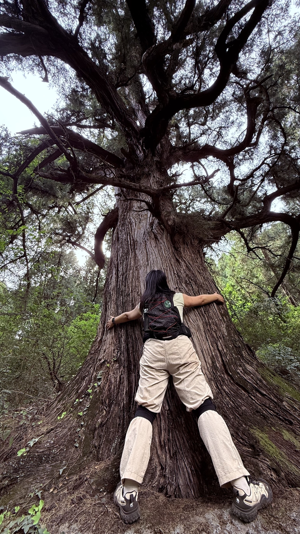 微信图片_20250503200824