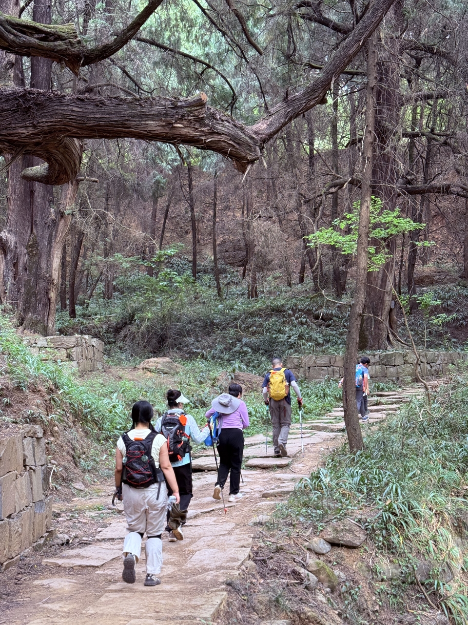 微信图片_20250503202244